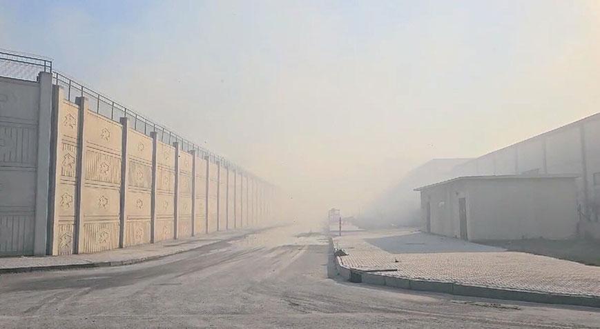 Aydın’da kağıt fabrikasında yangın paniği! Müdahale 24 saattir sürüyor