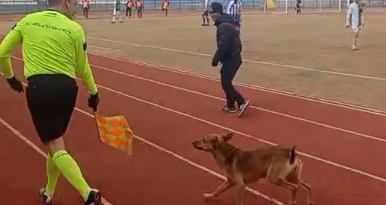 Sahaya giren köpeği yan hakem böyle çıkardı